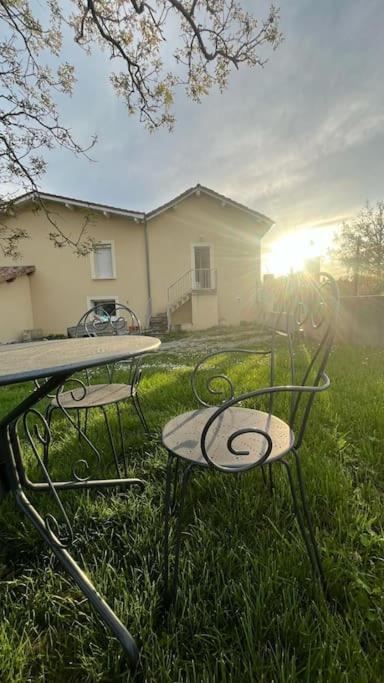 5 Mn Vienne, Confort Et Calme A La Campagne Reventin-Vaugris المظهر الخارجي الصورة